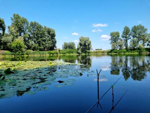будинок за адресою с. Осещина, Корабельная