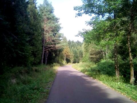 ділянка за адресою Полесская