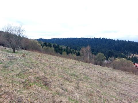 ділянка за адресою смт. Східниця, Івана Франка вул.