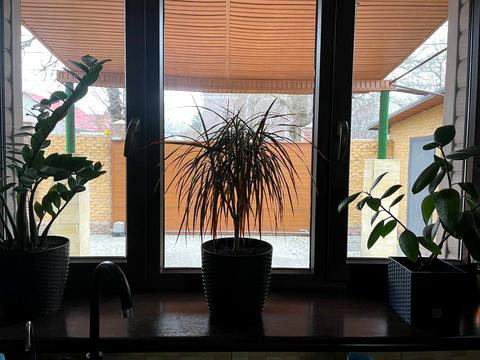 дом по адресу Костанди ул., 98А