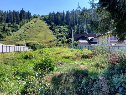 участок по адресу Ольги Степанівни
