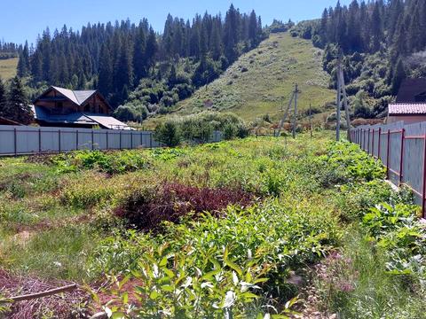 участок по адресу Ольги Степанівни
