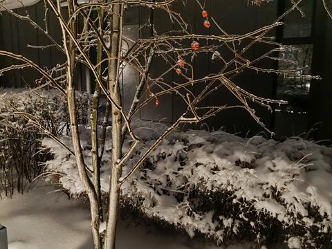 квартира за адресою Родини Кістяківських вул., 4