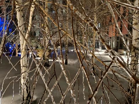 квартира за адресою Родини Кістяківських вул., 4