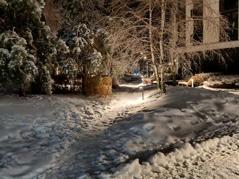 квартира за адресою Родини Кістяківських вул., 4