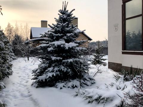 будинок за адресою Швейцарська