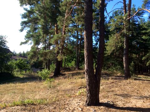 ділянка за адресою урочище Кругле