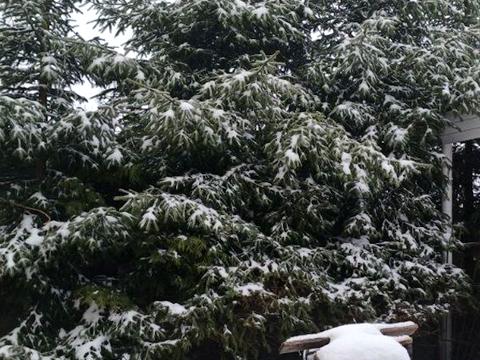 будинок за адресою Столична