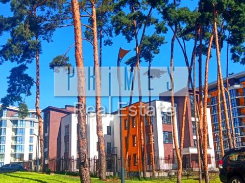 комерційна за адресою Прорізна вул., 1