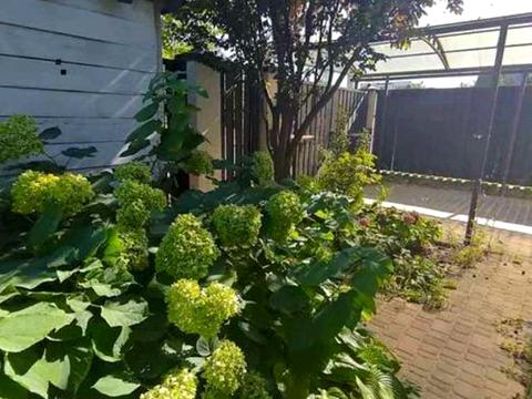 будинок за адресою Прорізна вул.