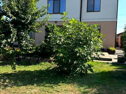 будинок за адресою Івана Франка вул.