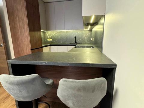 квартира по адресу Михаила Максимовича ул. (Трутенко Онуфрия), 26-Г