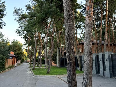 ділянка за адресою провулок лісовий