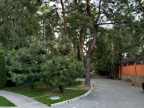 ділянка за адресою провулок лісовий