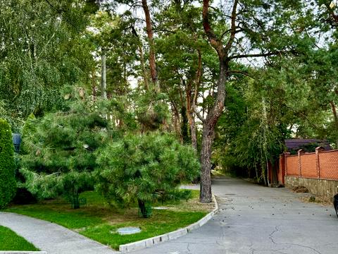 ділянка за адресою провулок лісовий