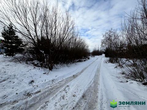 ділянка за адресою с. Березівка, Шевченка