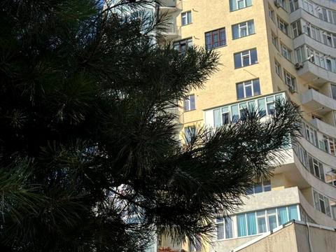 квартира за адресою Панаса Мирного вул., 1/2