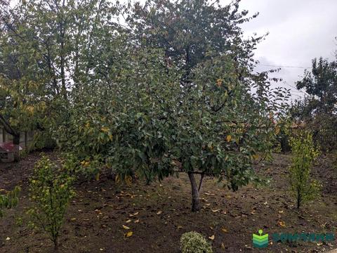 будинок за адресою с. Вільшаниця, Осередок вул.