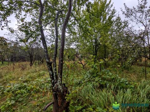 ділянка за адресою 