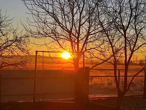 дом по адресу Польова, 58