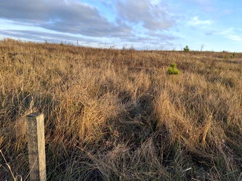 участок по адресу Гайок