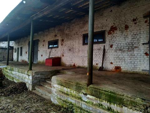 комерційна за адресою Степана Бандери вул. (Попова), 14