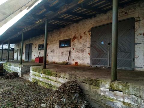 комерційна за адресою Степана Бандери вул. (Попова), 14