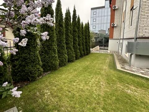 комерційна за адресою Гетьмана Виговського вул., 1