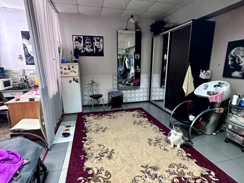 комерційна за адресою Кам'янська вул., 30