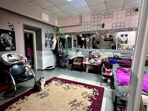 комерційна за адресою Кам'янська вул., 30