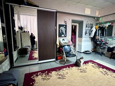 комерційна за адресою Кам'янська вул., 30