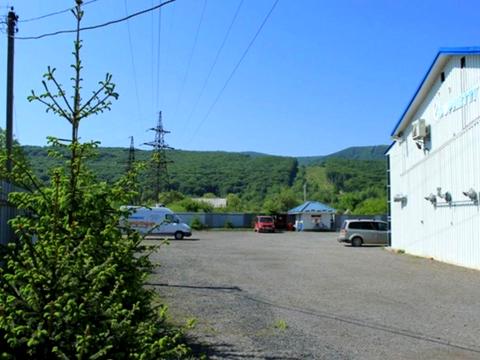 комерційна за адресою Свалява, Старолюбовнянська, 21