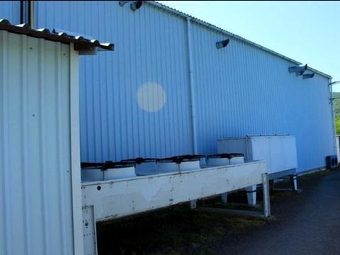 комерційна за адресою Свалява, Старолюбовнянська, 21