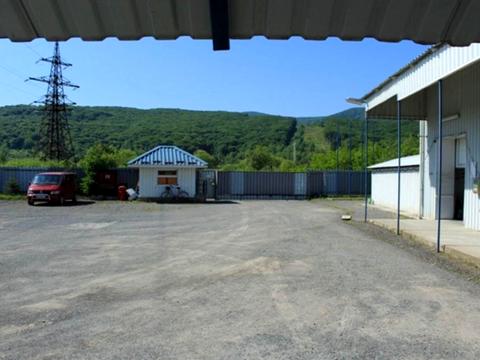 комерційна за адресою Свалява, Старолюбовнянська, 21