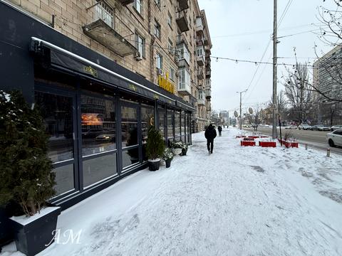 комерційна за адресою Велика Васильківська вул. (Червоноармійська), 111/113