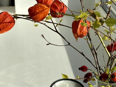 квартира за адресою Голосіївський просп. (40-річчя Жовтня), 122к1