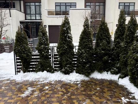 будинок за адресою Найкраща вул. (Ломоносова)