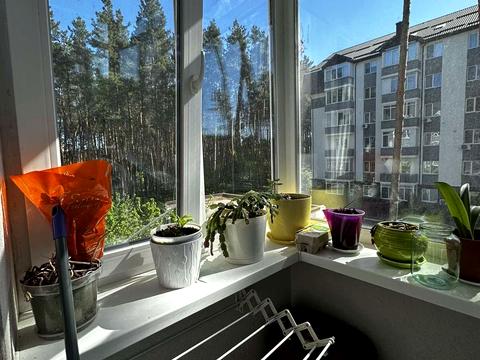 квартира за адресою Ідейна вул. (Ідейна), 13