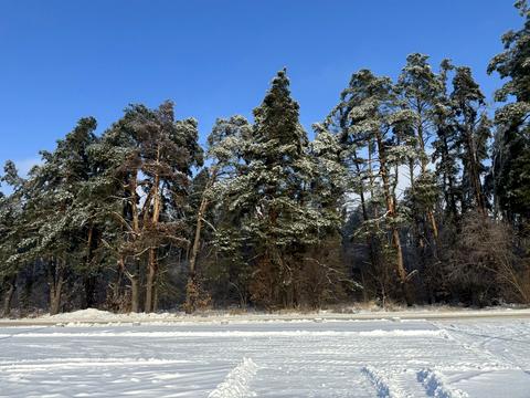 дом по адресу Бориса Лятошинського ул. (1 Травня)