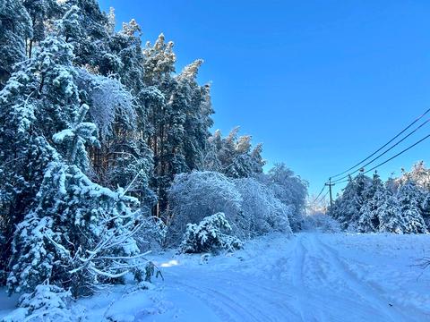 ділянка за адресою с. Микуличі, 