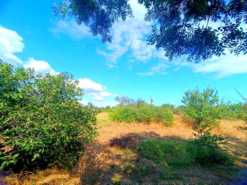 дом по адресу Воздвиженская