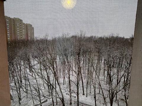 квартира за адресою Кургузова вул., 3-А