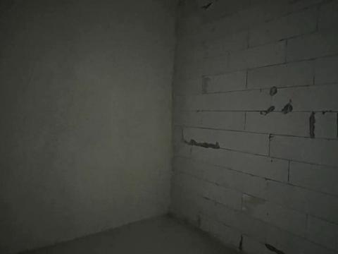 квартира за адресою Генерала Тараса Чупринки вул. (Пушкіна), (Будинок)