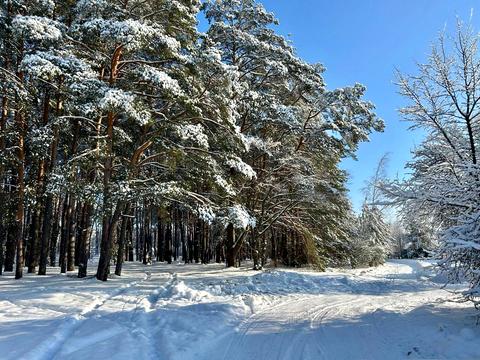 дом по адресу Лесная ул.