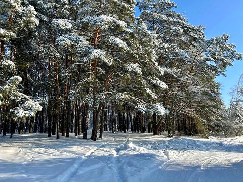 дом по адресу Лесная ул.