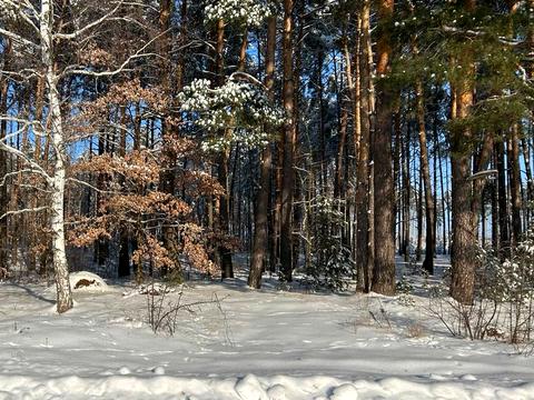 дом по адресу Лесная ул.