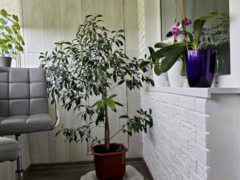 квартира за адресою Героїв 93-ї Бригади вул. (Гудименка), 11