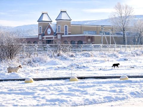 квартира за адресою Леоніда Каденюка вул., 18