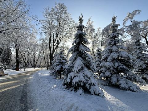квартира за адресою Київ, Михайла Грушевського вул., 28/2