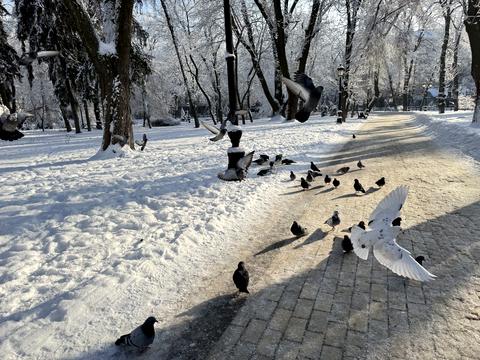 квартира за адресою Київ, Михайла Грушевського вул., 28/2